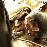 SF6 Sagat Portrait